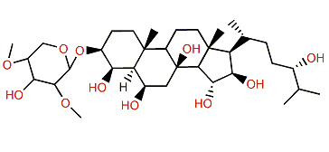 Echinasteroside G